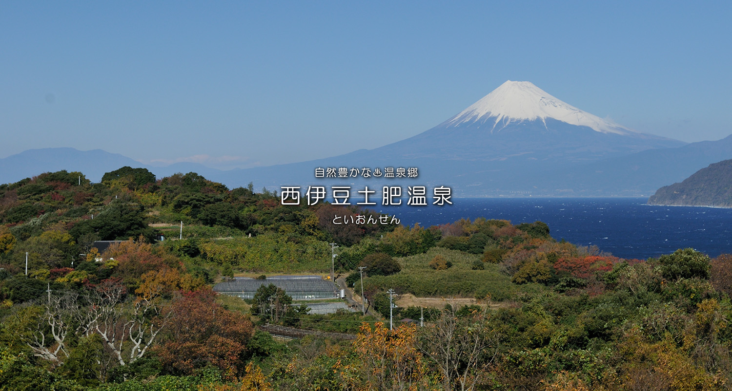 自然豊かな温泉郷西伊豆土肥温泉（といおんせん）花火大会