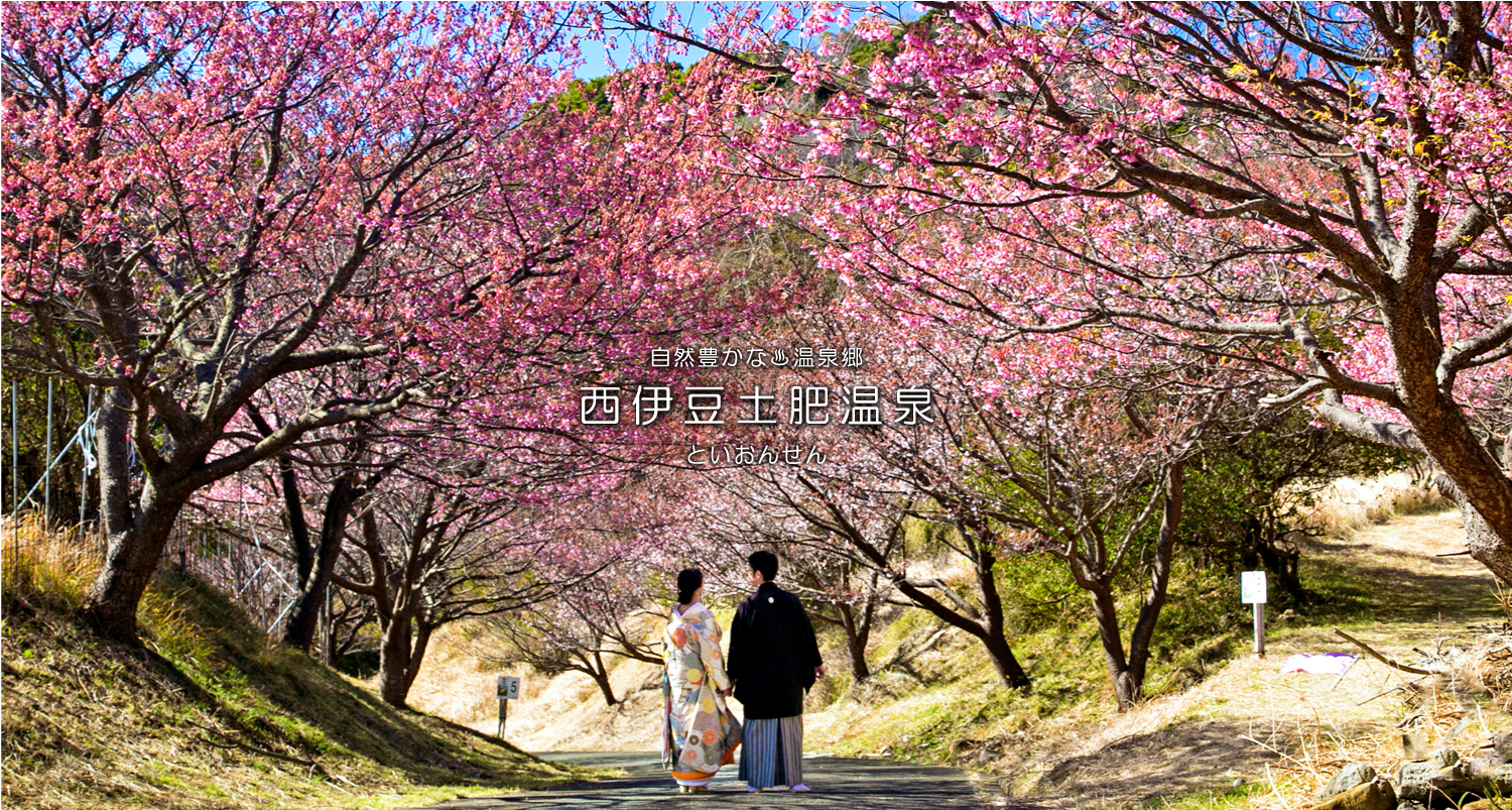 自然豊かな温泉郷西伊豆土肥温泉（といおんせん）恋人岬を俯瞰