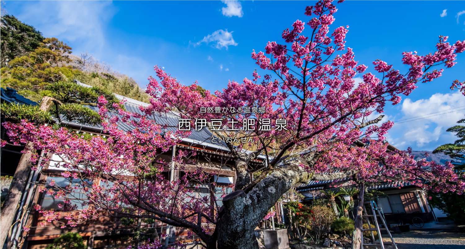 自然豊かな温泉郷西伊豆土肥温泉（といおんせん）花火大会