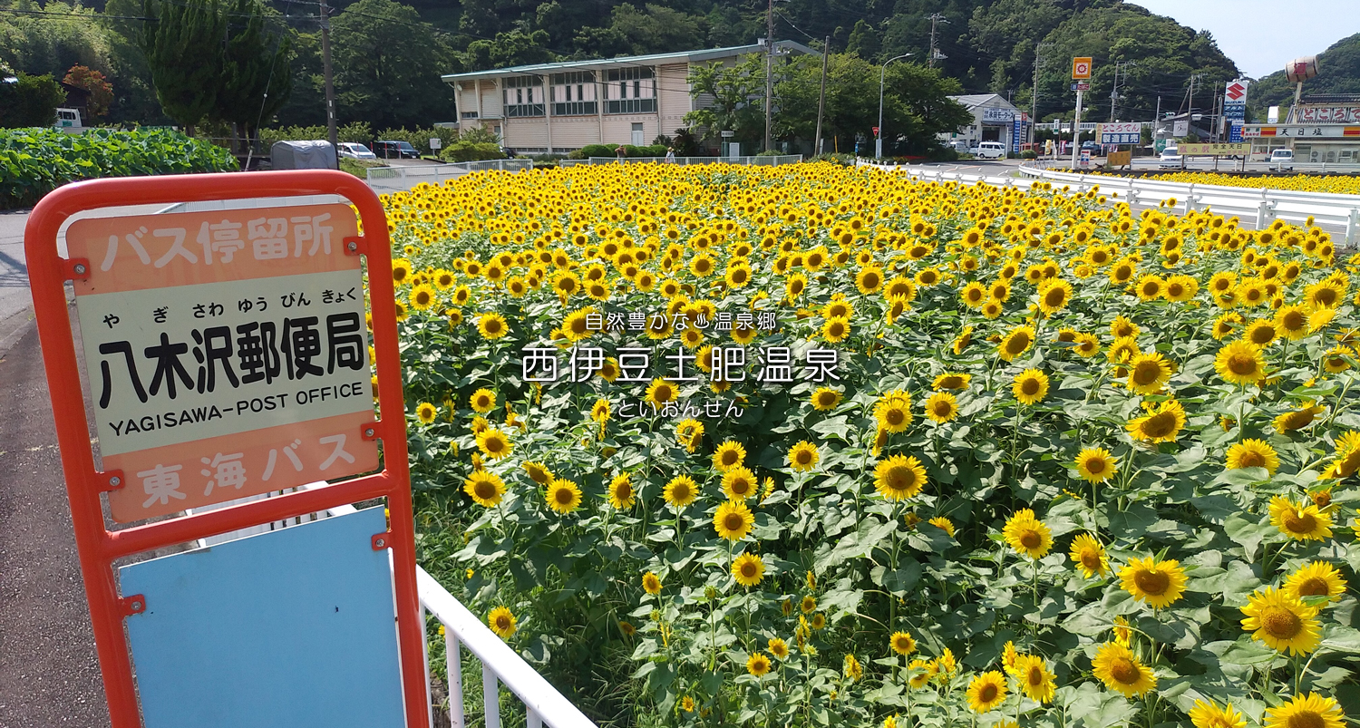自然豊かな温泉郷西伊豆土肥温泉（といおんせん）恋人岬の夕日