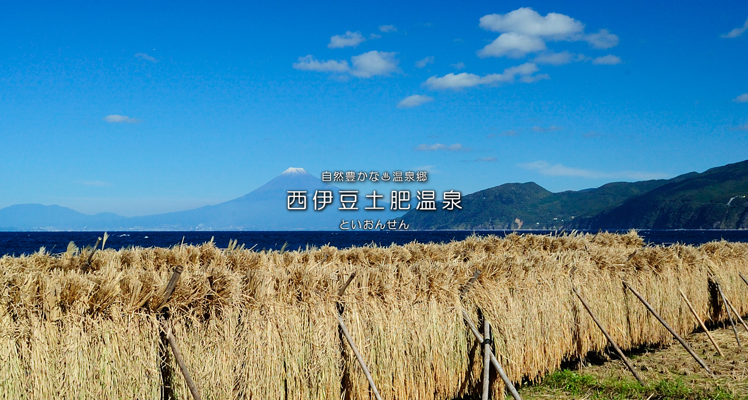 自然豊かな温泉郷西伊豆土肥温泉（といおんせん）花火大会