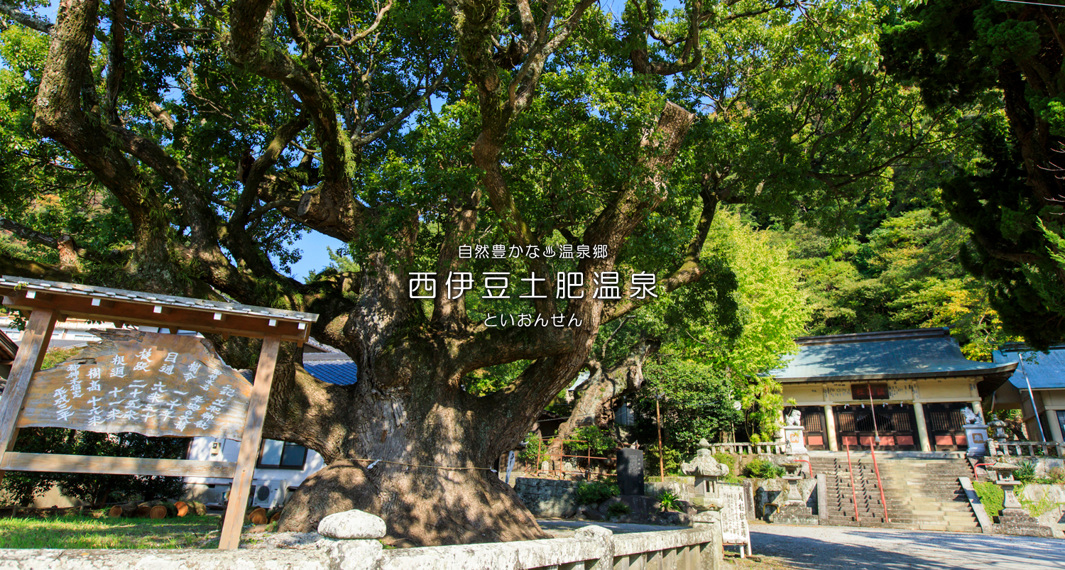 自然豊かな温泉郷西伊豆土肥温泉（といおんせん）土肥桜